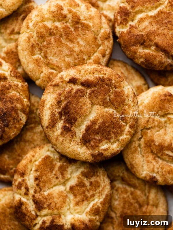 Chocolate Pinwheel Cookies: Soft Swirl Cookie Recipe for Parties 12 Piled snickerdoodle cookies on a parchment paper lined baking sheet.