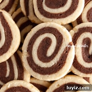 Chocolate Pinwheel Cookies: Soft Swirl Cookie Recipe for Parties 13 Overhead image of Chocolate Pinwheel Cookies.