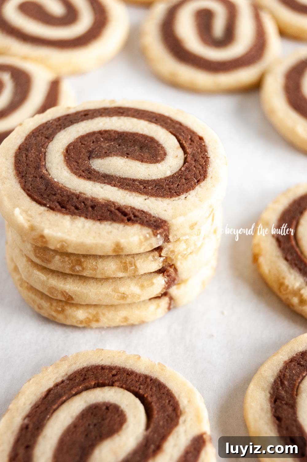 Chocolate Pinwheel Cookies: Soft Swirl Cookie Recipe for Parties 3 Close up image of small stack of Chocolate Pinwheel Cookies | All images © Beyond the Butter™