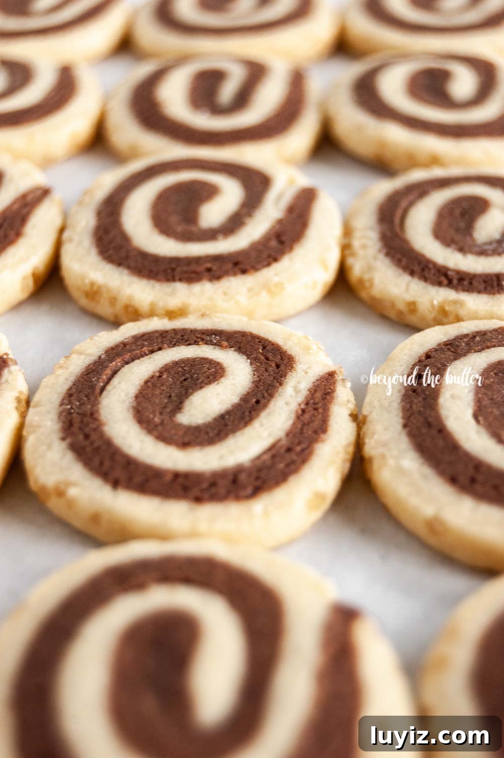 Chocolate Pinwheel Cookies: Soft Swirl Cookie Recipe for Parties 4 Angled image of Chocolate Pinwheel Cookies in rows | All images © Beyond the Butter™