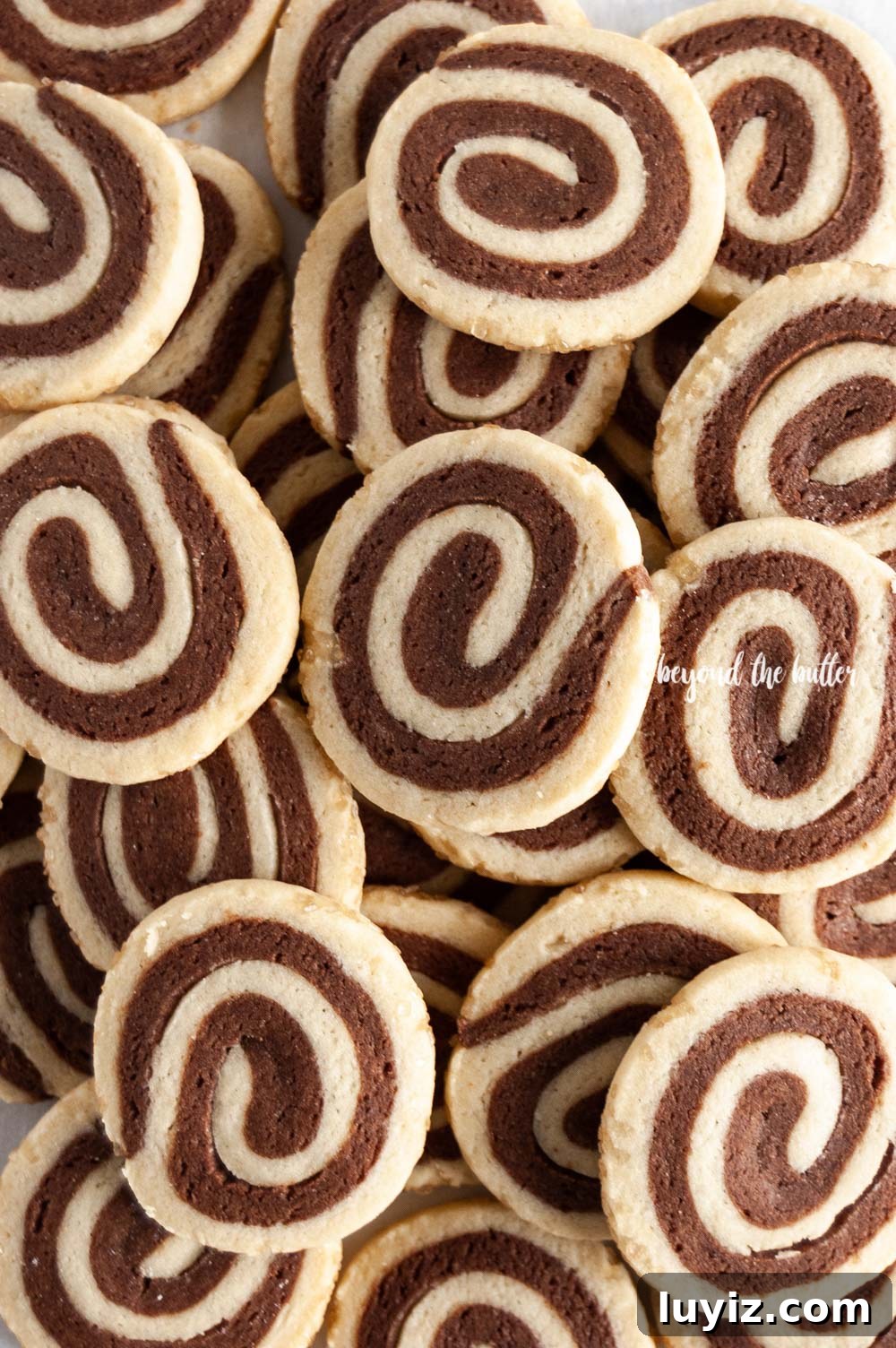 Chocolate Pinwheel Cookies: Soft Swirl Cookie Recipe for Parties 5 Overhead image of Chocolate Pinwheel Cookies | All images © Beyond the Butter™