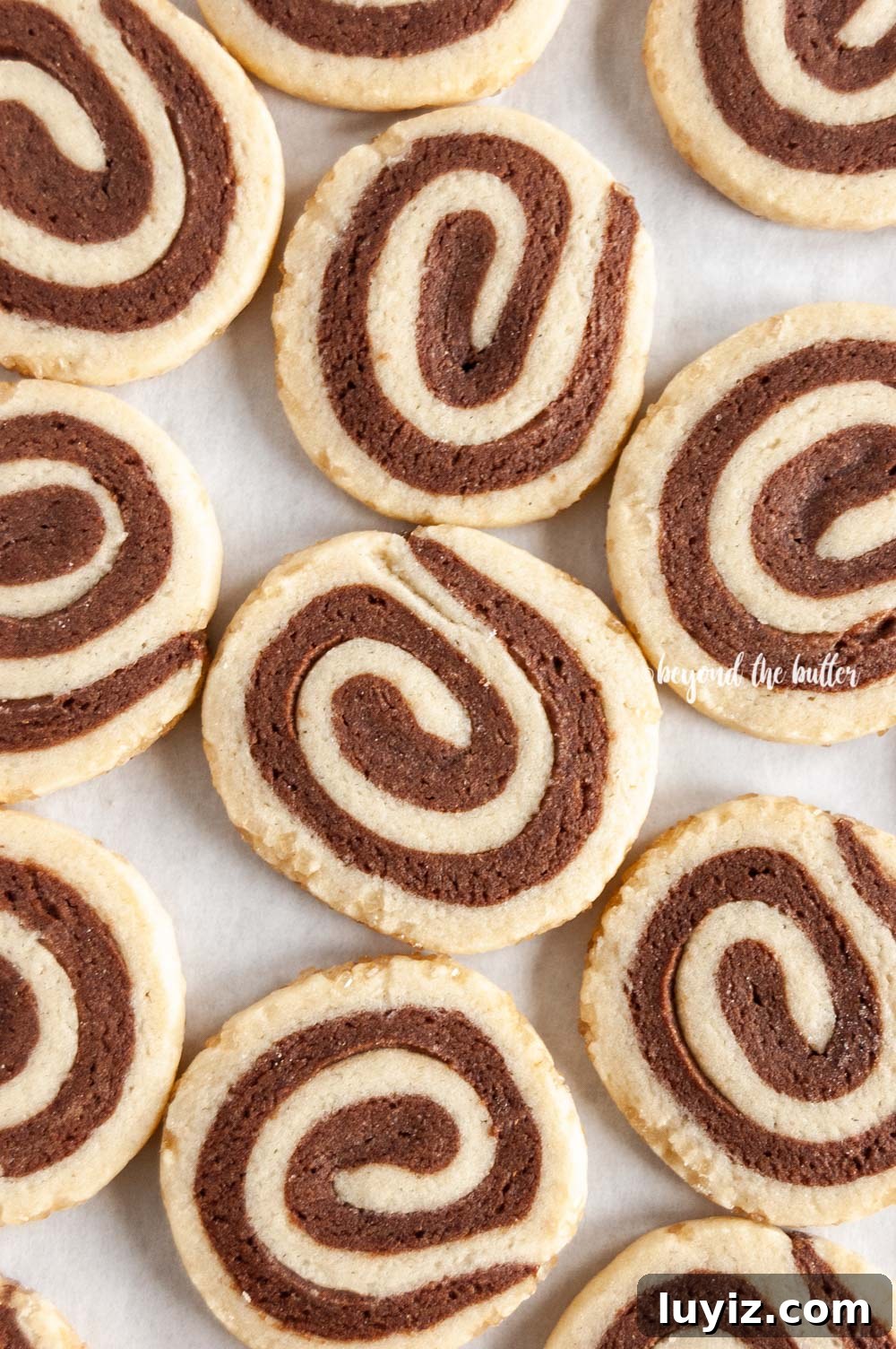 Chocolate Pinwheel Cookies: Soft Swirl Cookie Recipe for Parties 7 Close up image of Chocolate Pinwheel Cookies | All images © Beyond the Butter™