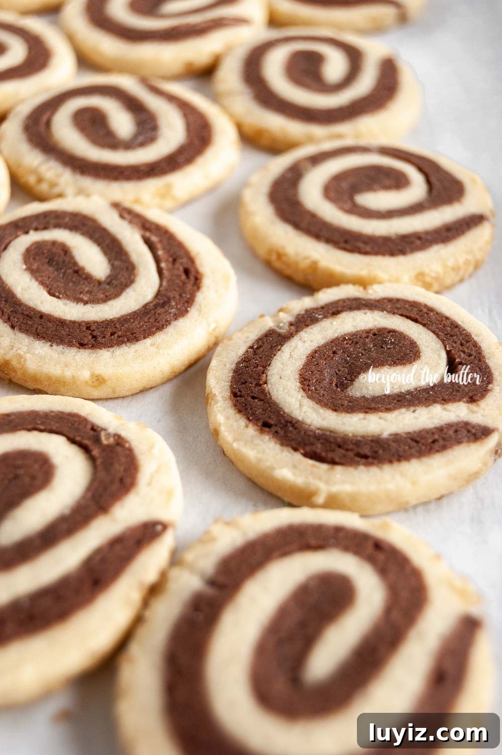Chocolate Pinwheel Cookies: Soft Swirl Cookie Recipe for Parties 8 Close up image of Chocolate Pinwheel Cookies | All images © Beyond the Butter™