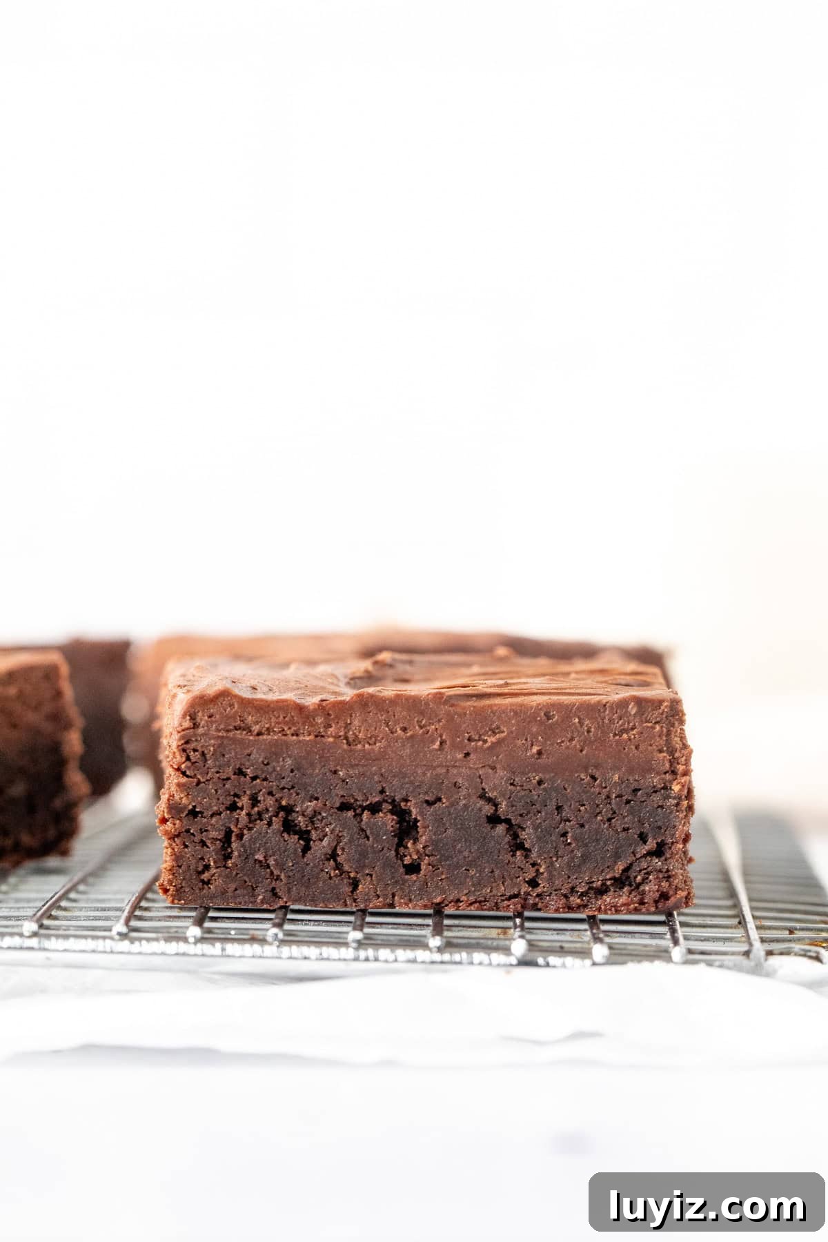 Decadent Fudge Brownies Topped with Rich Chocolate Frosting 4 Brownie on cooling rack topped with chocolate frosting