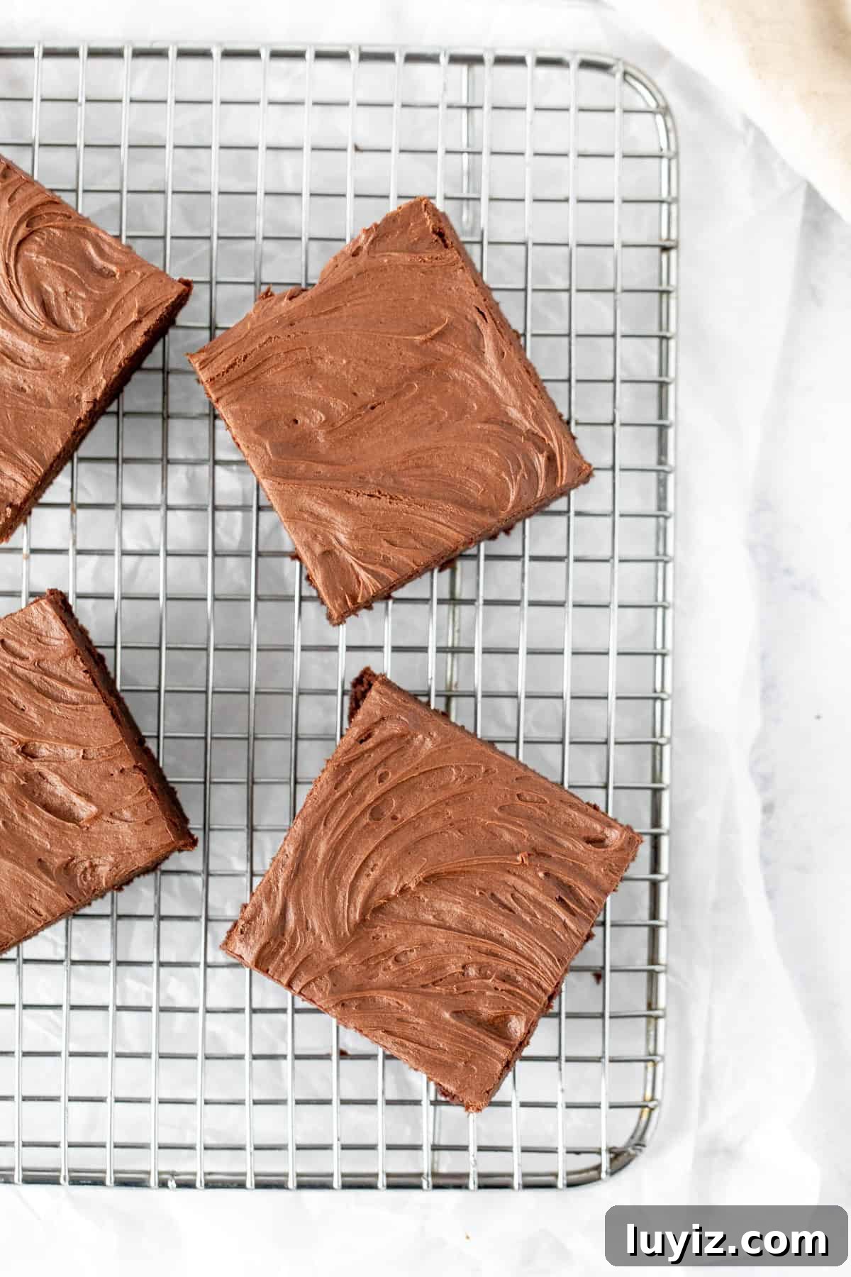 Decadent Fudge Brownies Topped with Rich Chocolate Frosting 9 Frosted brownies on a cooling rack