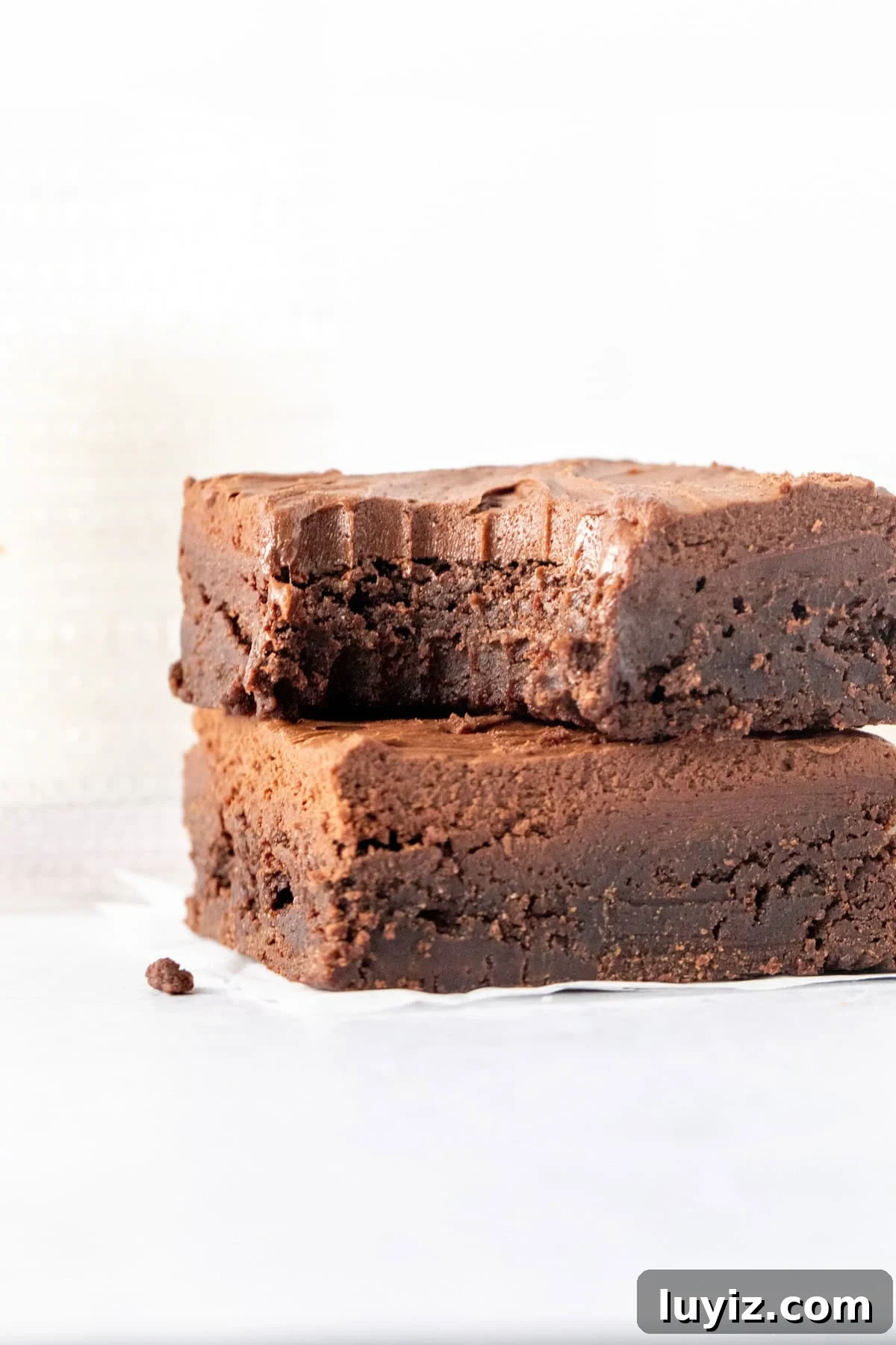 Decadent Fudge Brownies Topped with Rich Chocolate Frosting 10 Two chocolate brownies with chocolate brownies, stacked on top of one another with a bite taken out of the top brownie