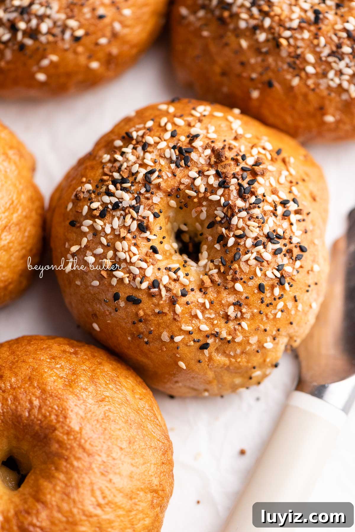 Homemade Bagel Recipe: How to Make Soft, Chewy Bagels at Home 4 Closeup of easy homemade bagels with everything bagel seasoning on top | © Beyond the Butter®
