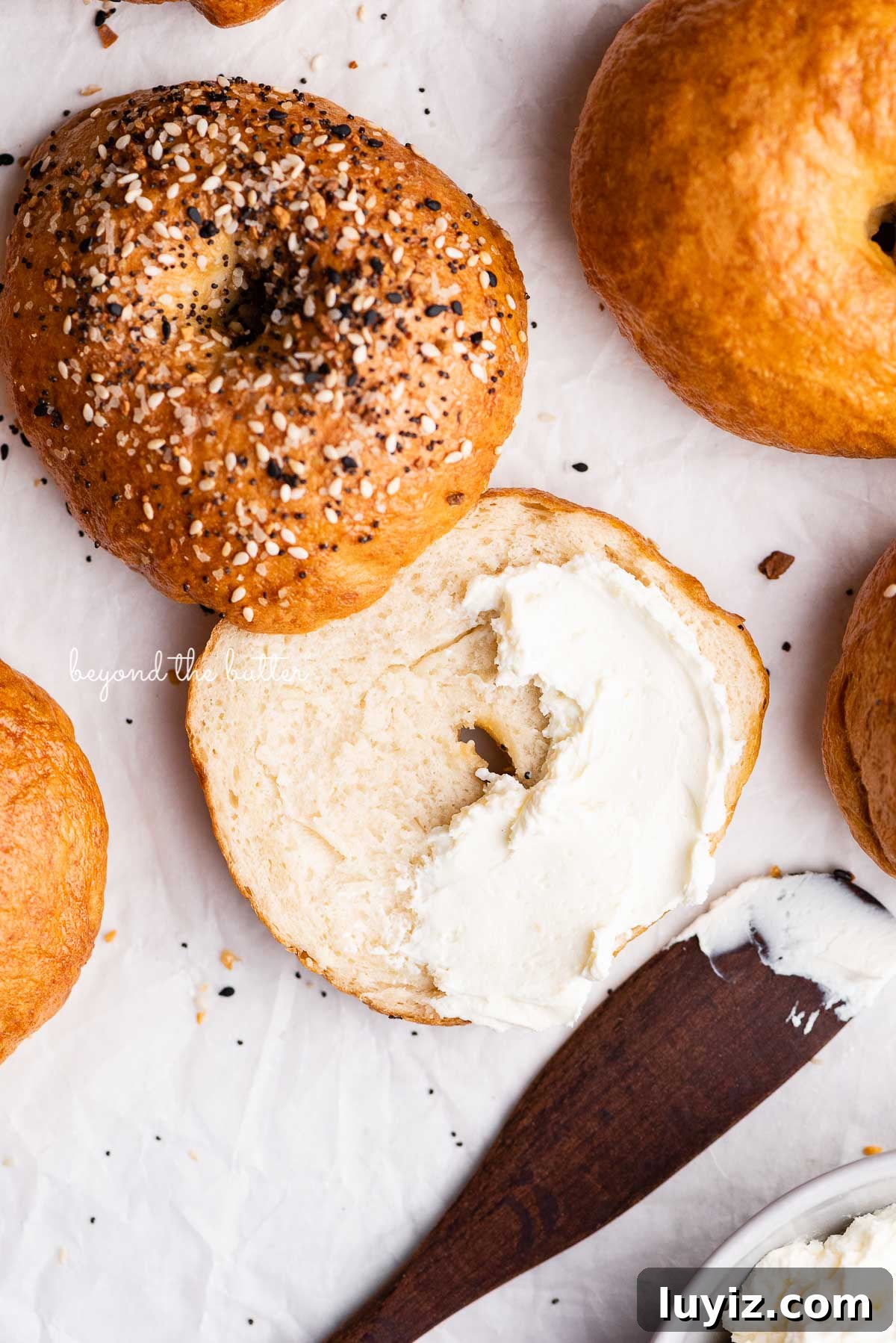 Homemade Bagel Recipe: How to Make Soft, Chewy Bagels at Home 5 Easy homemade bagel sliced with cream cheese partially spread over the top | © Beyond the Butter®