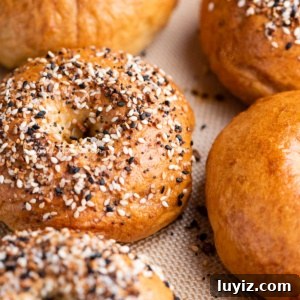 Homemade Bagel Recipe: How to Make Soft, Chewy Bagels at Home 10 Silicone mat lined baking sheet with just baked homemade plain and everything bagels.