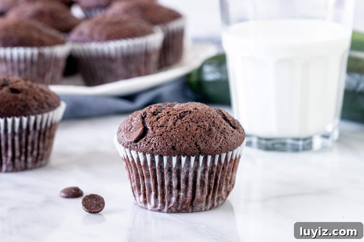 Chocolate Zucchini Muffins with Cocoa and Dark Chocolate Chunks 3 Zucchini chocolate muffin with a glass of milk