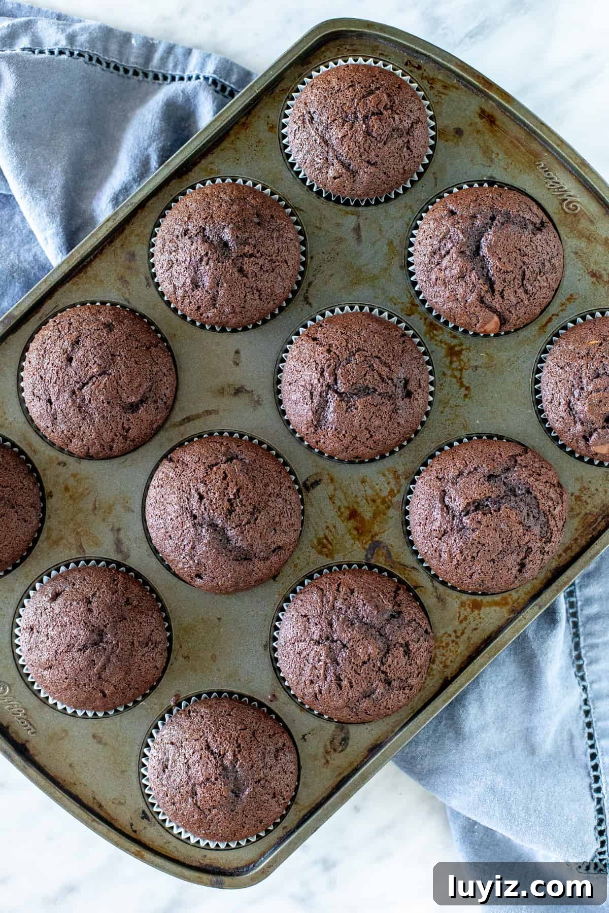 Chocolate Zucchini Muffins with Cocoa and Dark Chocolate Chunks 5 Pan of 12 chocolate muffins