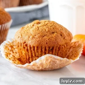 Carrot cake muffin with muffin paper