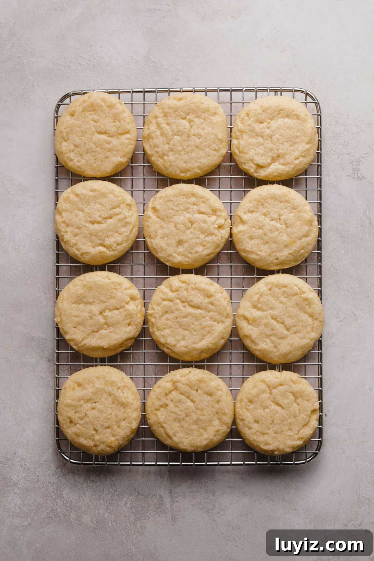 Zesty Lemon Shortbread Cookies: Crispy, Buttery Citrus Treats 12 Lemon shortbread cookies cooling on a wire cooling rack on a grey marbled background.