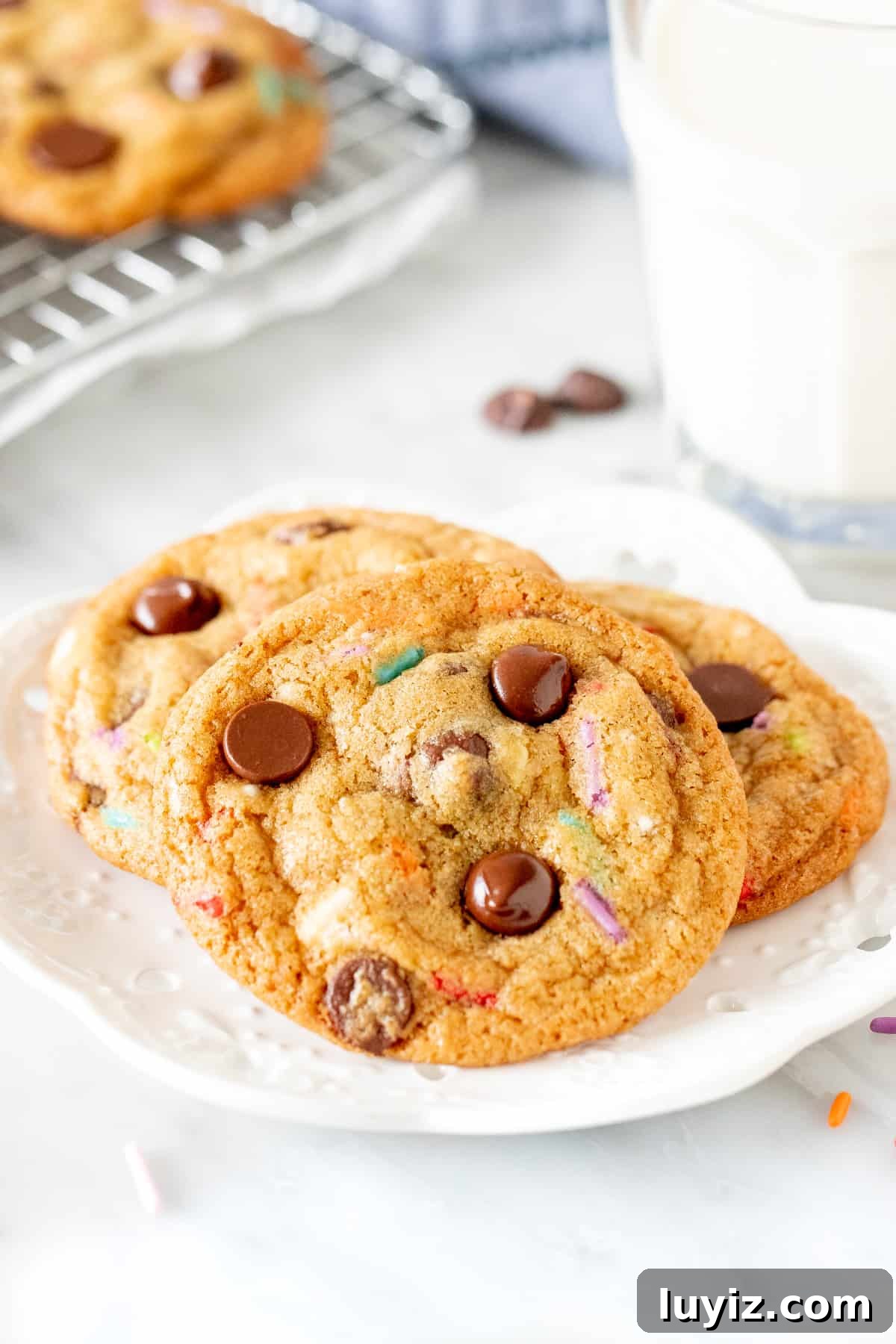 Sprinkled Chocolate Chip Cookies: Soft, Chewy, and Irresistible 2 Plate of 3 sprinkle chocolate chip cookies