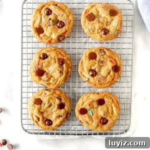 Sprinkled Chocolate Chip Cookies: Soft, Chewy, and Irresistible 5 Cooling rack with 6 sprinkle chocolate chip cookies