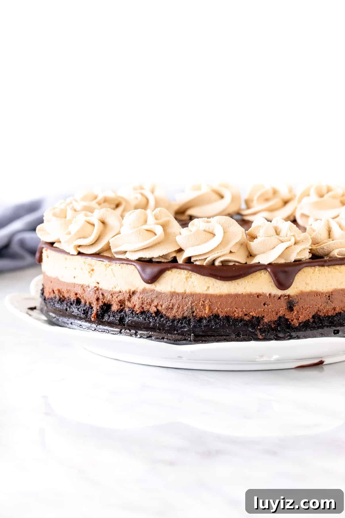Decadent Mocha Cheesecake Recipe for Coffee Lovers 2 Layered mocha cheesecake with chocolate topping and coffee whipped cream on top