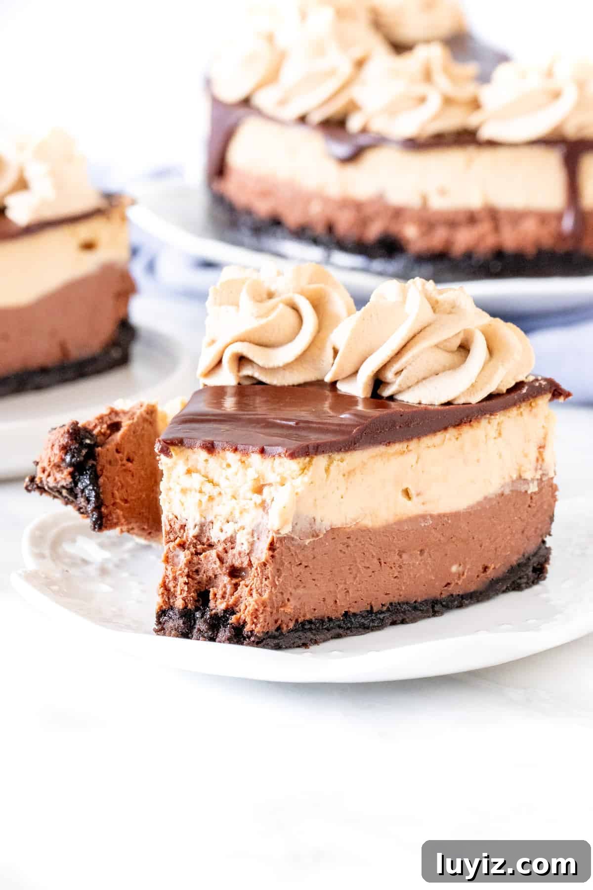 Decadent Mocha Cheesecake Recipe for Coffee Lovers 5 Slice of coffee and chocolate cheesecake
