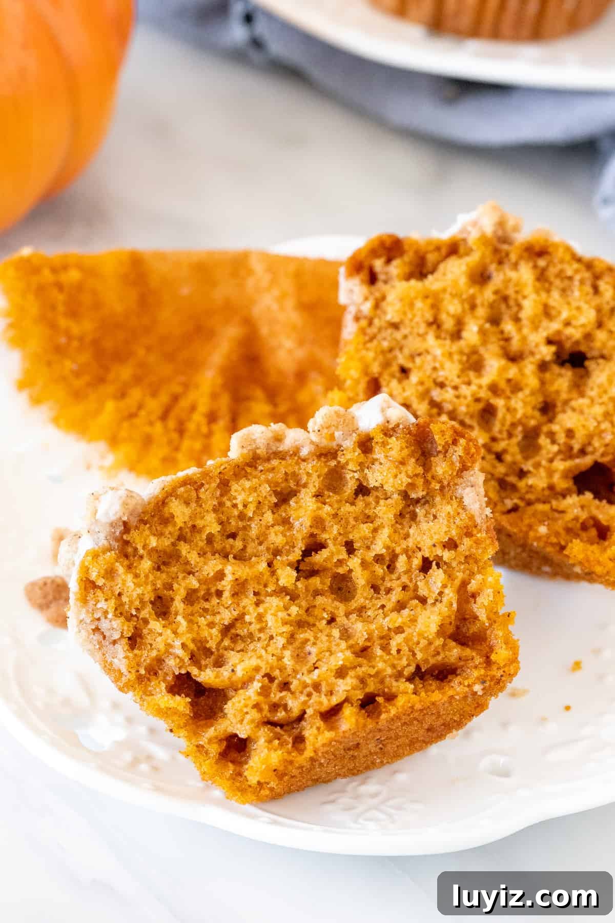 Pumpkin Streusel Muffins Recipe with Cinnamon Crunch Topping 7 Pumpkin streusel muffin broken in half, on a plate.