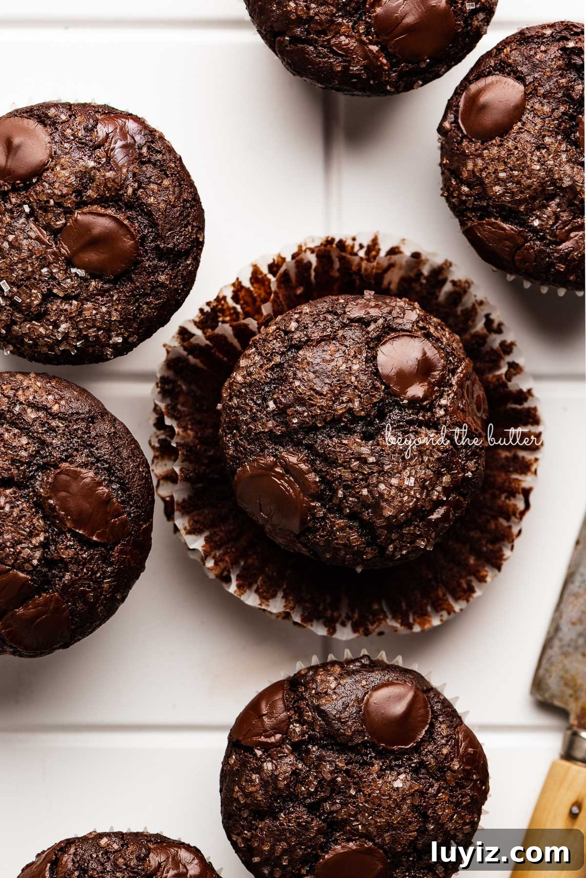Ultimate Double Chocolate Muffins Recipe – Moist & Fudgy 7 Double chocolate muffins on white tiled background | © Beyond the Butter®