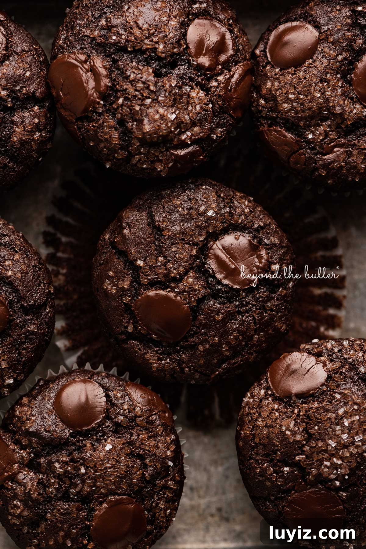 Ultimate Double Chocolate Muffins Recipe – Moist & Fudgy 8 Double chocolate muffins in a vintage baking tin | © Beyond the Butter®
