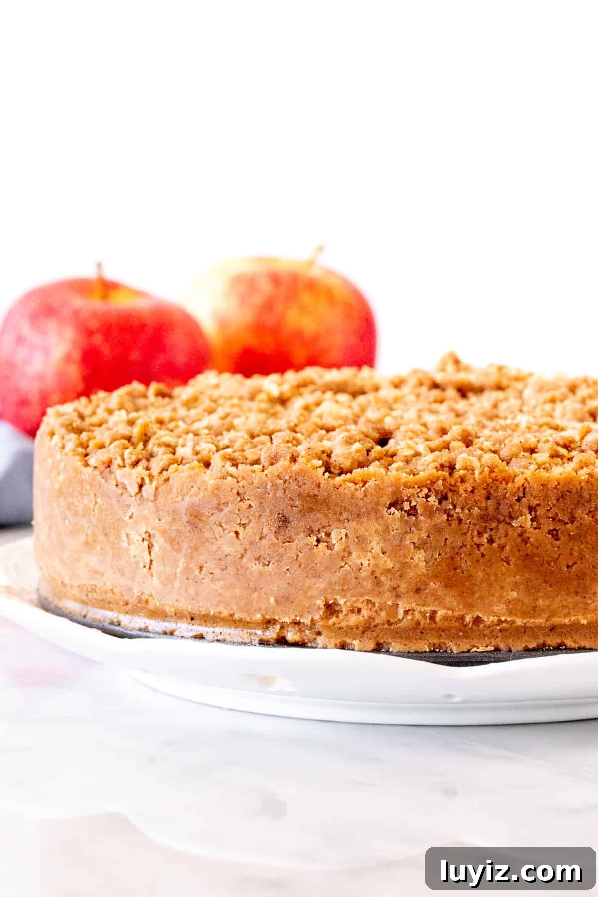 Apple Crisp Cheesecake Recipe with Cinnamon Streusel Topping 3 Cheesecake with graham crumb crust around the edges and crisp topping