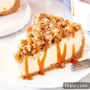Apple Crisp Cheesecake Recipe with Cinnamon Streusel Topping 7 Slice of apple crisp cheesecake with a drizzle of caramel sauce.