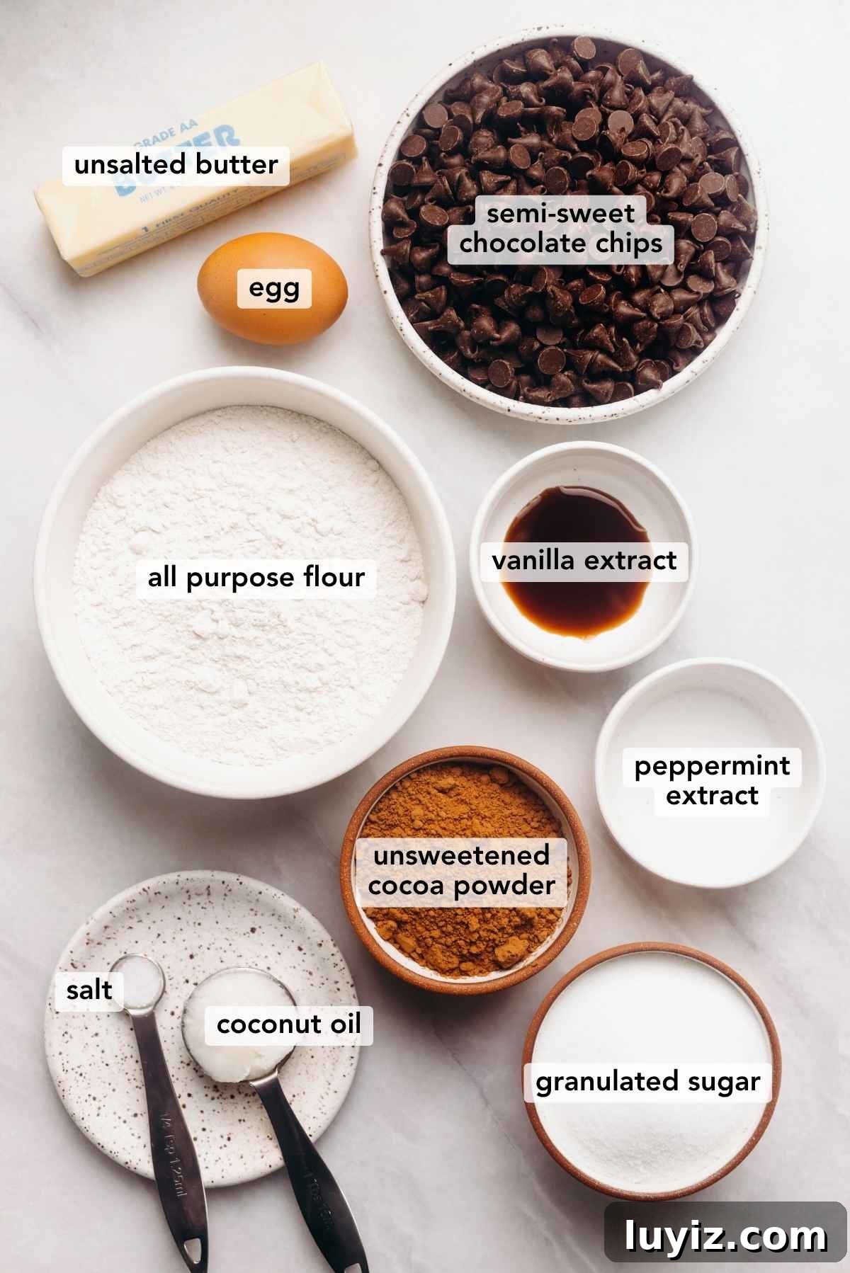 Homemade Thin Mints Recipe: Crisp Chocolate Mint Cookies 4 Ingredients in various size bowls labeled as unsalted butter, egg, semi sweet chocolate chips, all purpose flour, vanilla extract, unsweetened cocoa powder, peppermint extract, salt, coconut oil, granulated sugar on a white marbled background.