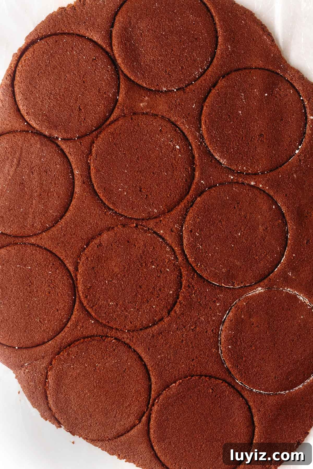 Homemade Thin Mints Recipe: Crisp Chocolate Mint Cookies 9 Thin mint cookie dough cut out with round cookie cutter on a white background.