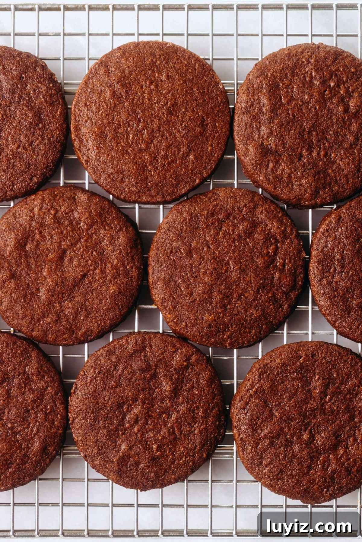 Homemade Thin Mints Recipe: Crisp Chocolate Mint Cookies 10 Baked thin mint cookies cooling on a stainless steel wire cooling rack.