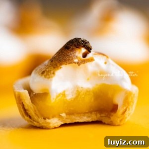 Mini Lemon Meringue Tartlets: Light, Zesty Dessert Recipe 13 Mini lemon meringue pie with bite taken out surrounded by other mini pies on a yellow background.