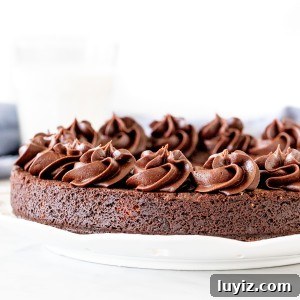 Chocolate cookie cake with chocolate frosting piped around the edges