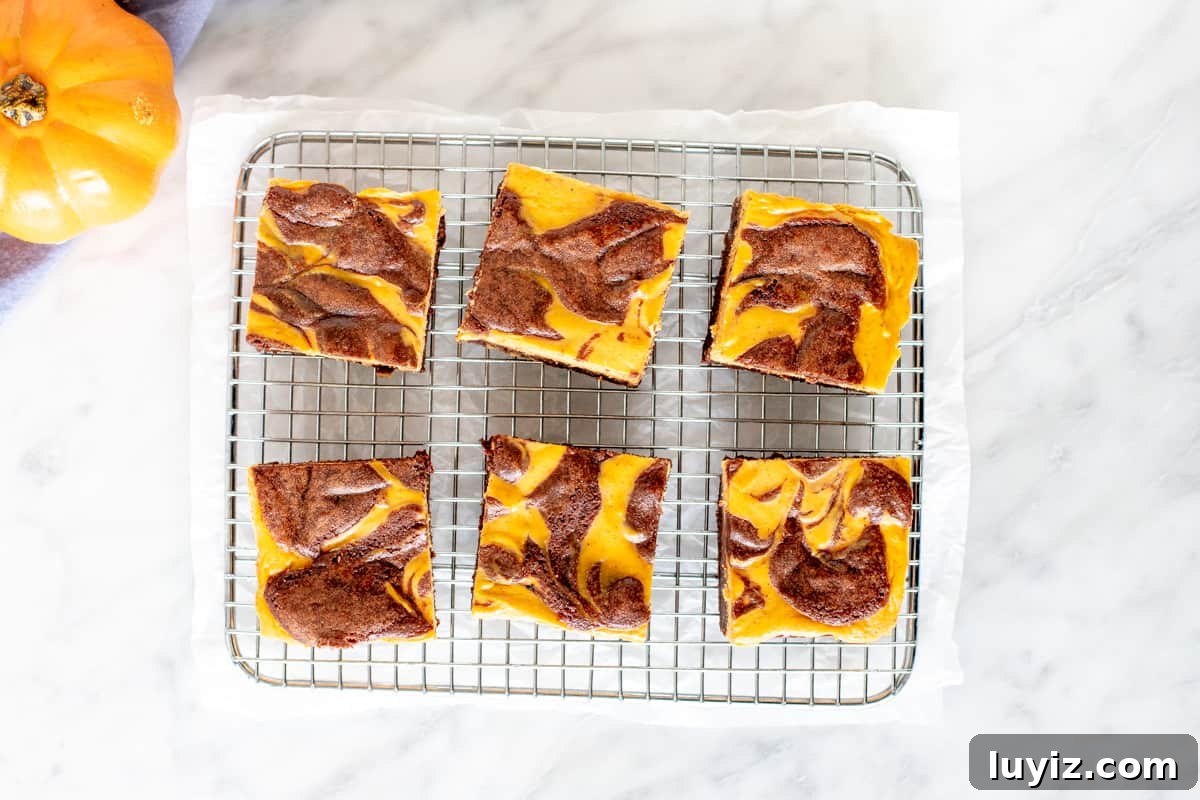 Pumpkin Cheesecake Brownies Recipe — Creamy Swirl Dessert 3 5 pumpkin brownies on a wire rack.