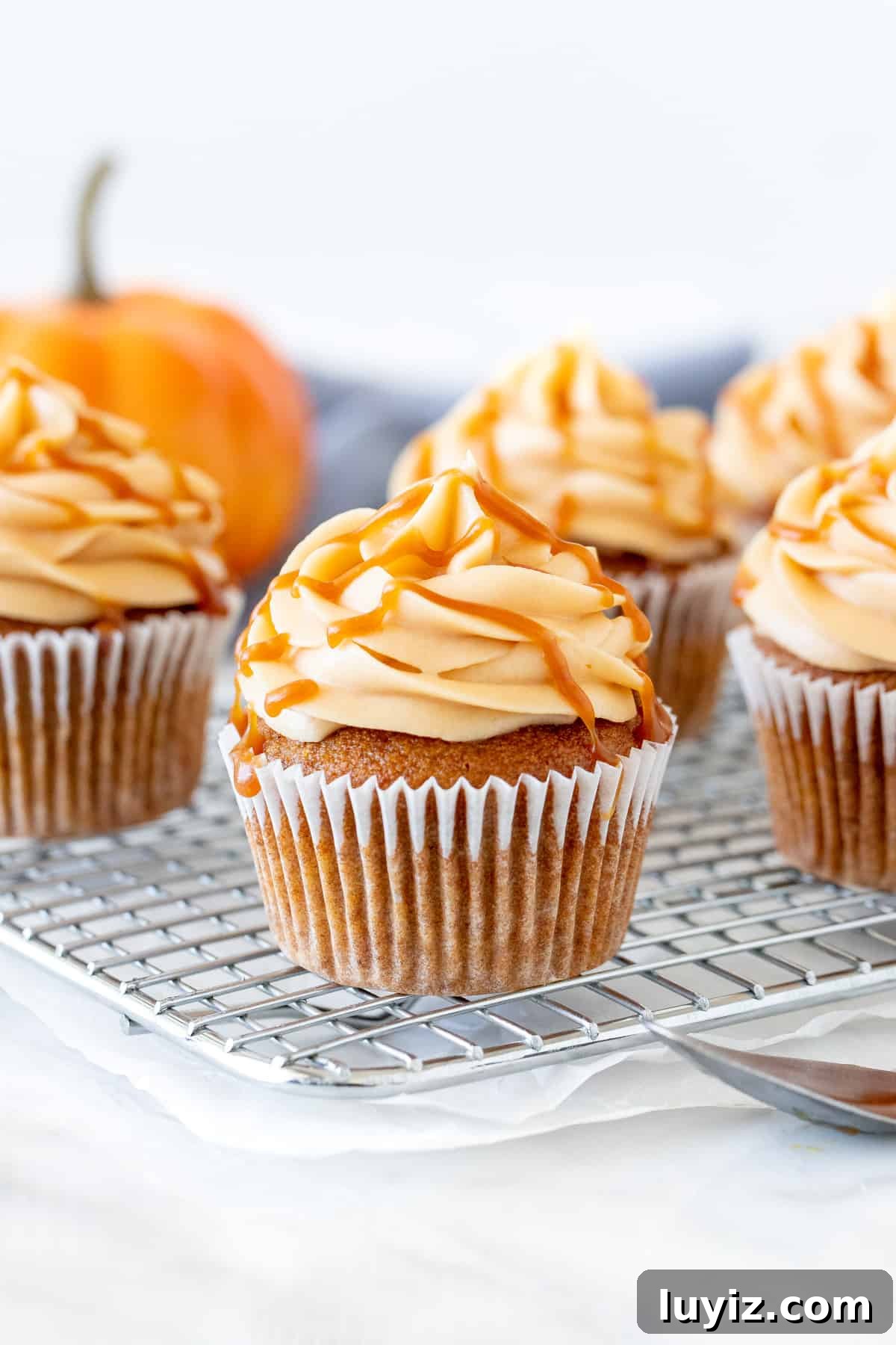 Pumpkin Cupcakes with Salted Caramel Cream Cheese Frosting 2 Pumpkin cupcakes with caramel cream cheese frosting on a wire rack.