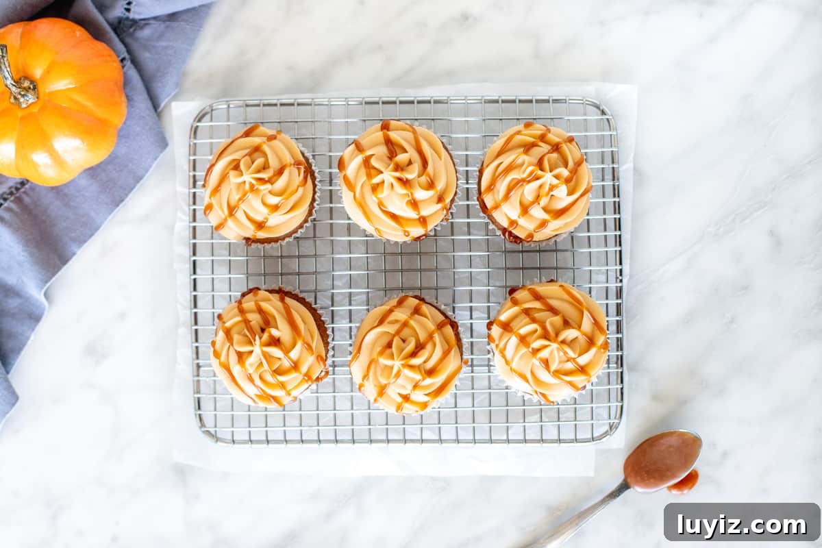 Pumpkin Cupcakes with Salted Caramel Cream Cheese Frosting 3 6 cupcakes with caramel frosting and a drizzle of caramel, from above