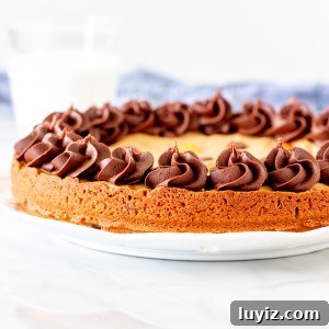 Peanut Butter Cookie Cake Recipe — Moist, Chewy & Decadent 5 Peanut butter cookie cake with chocolate frosting around the edges
