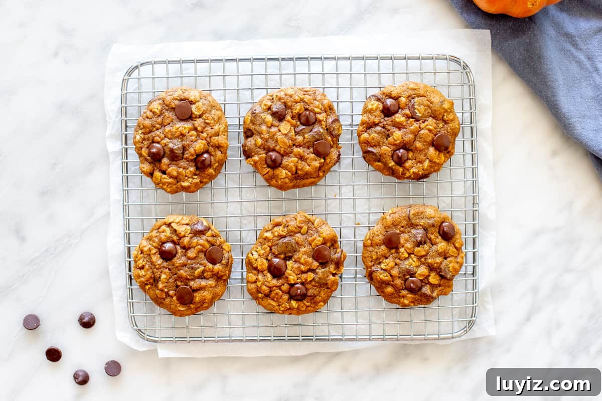 Chocolate Chip Pumpkin Oatmeal Cookies Recipe That Impresses 3 6 pumpkin oatmeal cookies on a cooling rack.