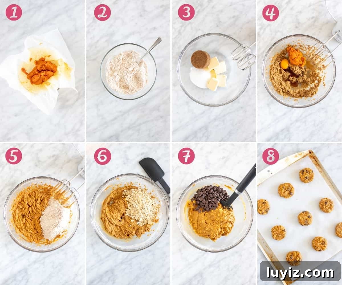 Chocolate Chip Pumpkin Oatmeal Cookies Recipe That Impresses 4 Collage of 8 photos of making cookies