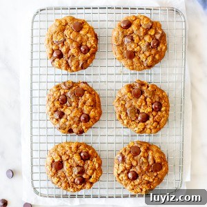 6 pumpkin chocolate chip cookies on a cookie rack.