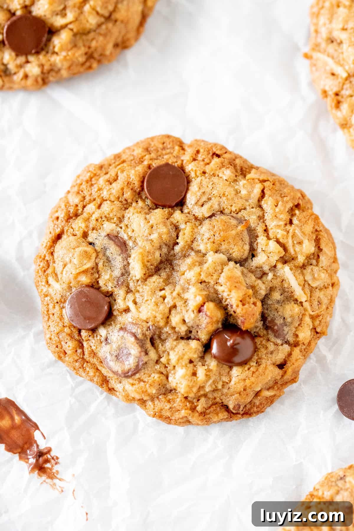 Chewy Cowboy Cookie Recipe with Oats, Chocolate & Pecans 2 Close up of a cowboy cookie