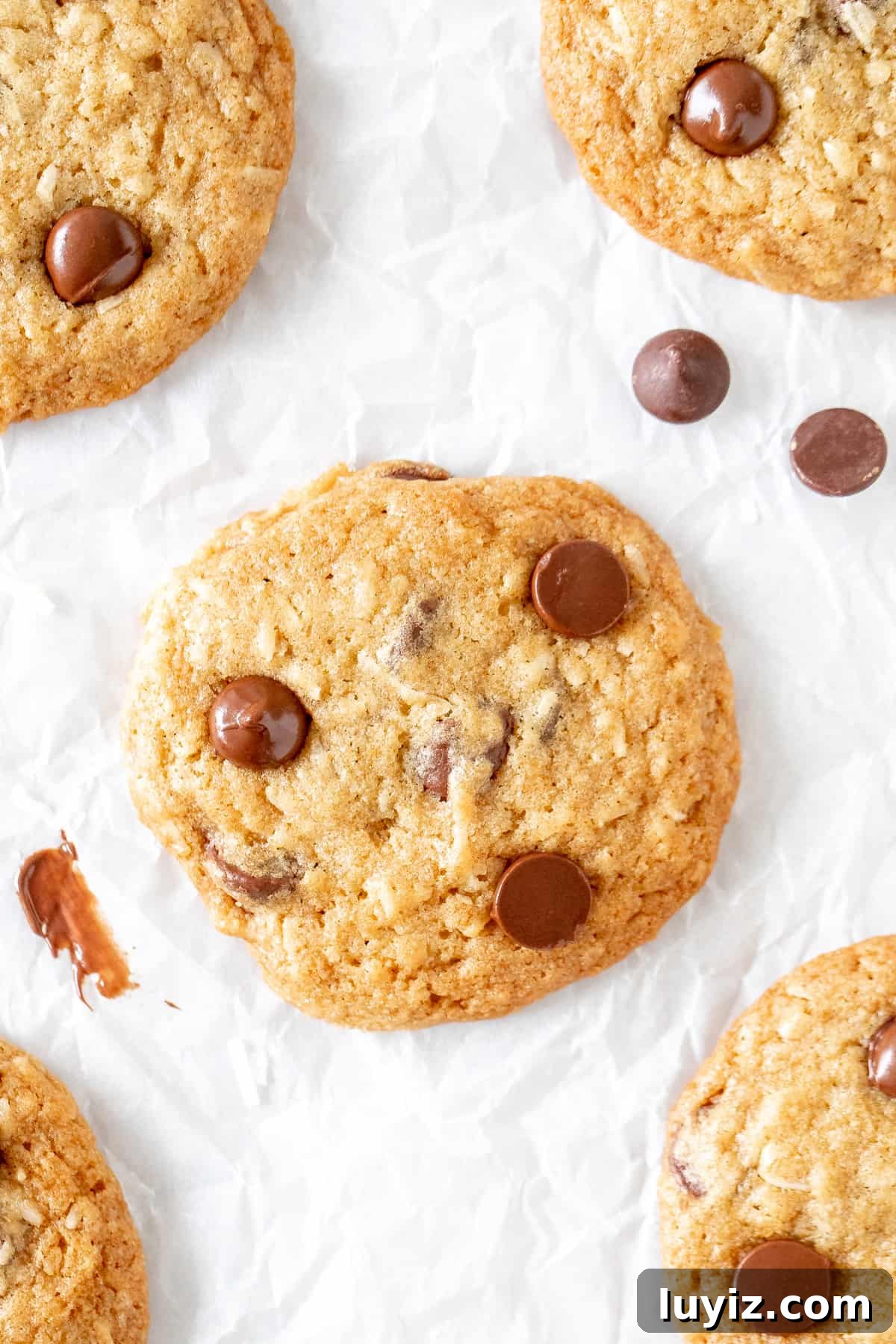 Chewy Coconut Chocolate Chip Cookies Recipe for Home Bakers 2 Coconut chocolate chip cookies on parchment paper
