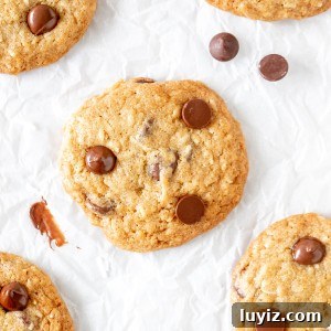 Chocolate chip cookies made with coconut