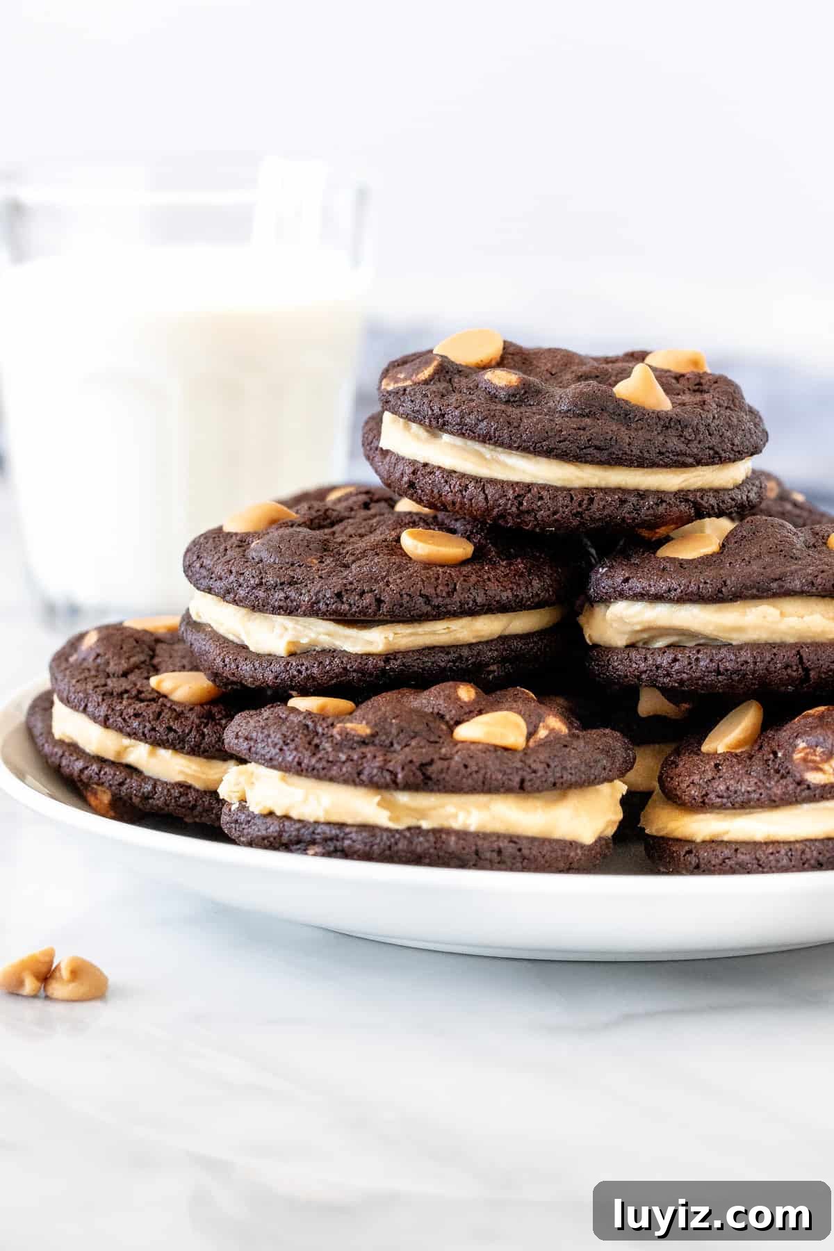 Chocolate Peanut Butter Sandwich Cookies Recipe — Homemade Treats 2 Plate of chocolate peanut butter sandwich cookies