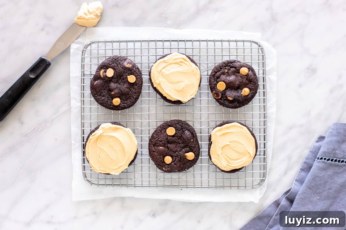 Chocolate Peanut Butter Sandwich Cookies Recipe — Homemade Treats 3 6 chocolate cookies with peanut butter frosting on a cooling rack