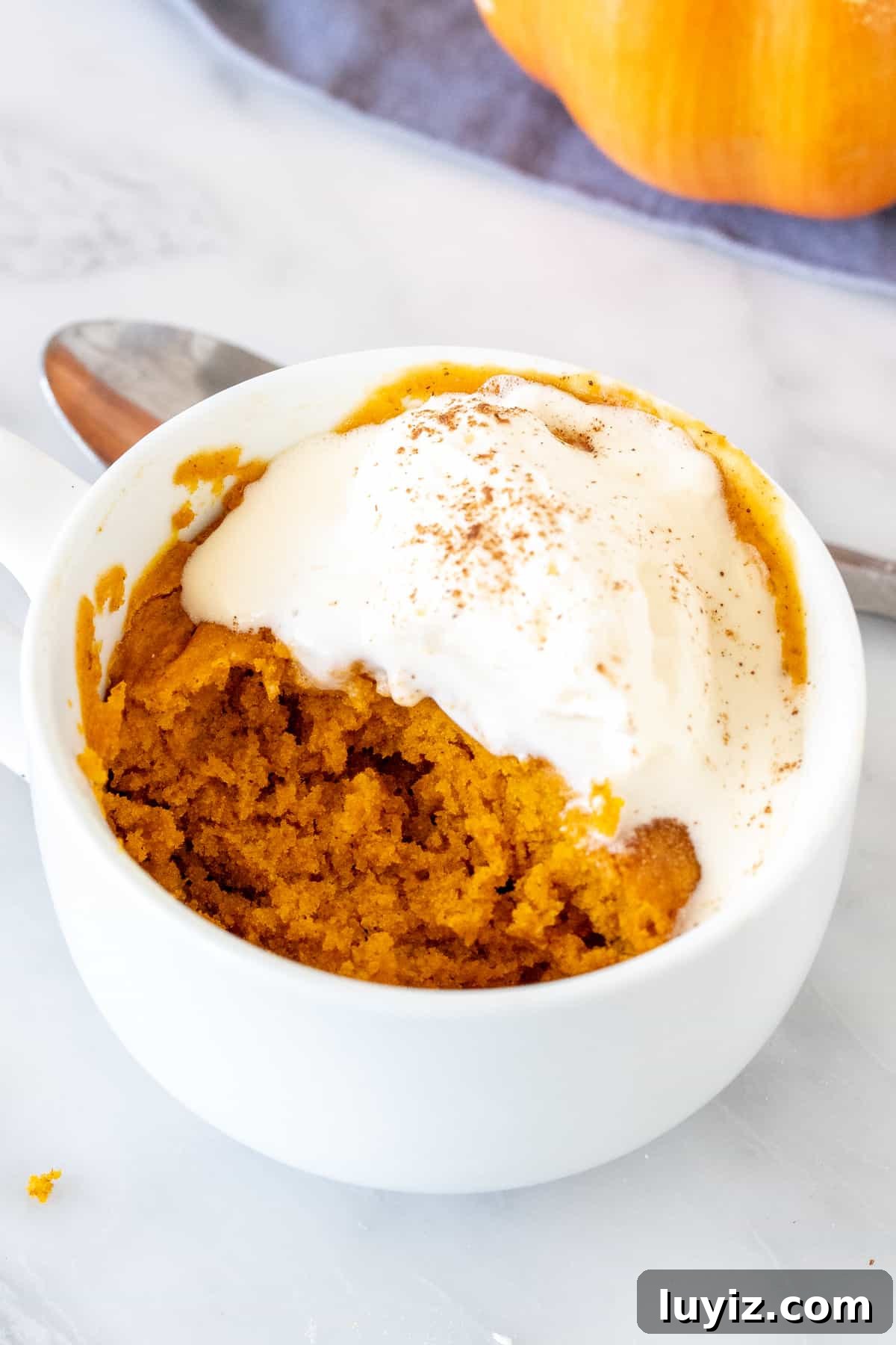 1-Minute Pumpkin Mug Cake Recipe for Moist Spiced Dessert 4 Pumpkin cake in a mug, with a bite taken out and topped with melted whipped cream