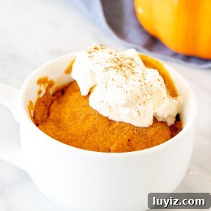 1-Minute Pumpkin Mug Cake Recipe for Moist Spiced Dessert 6 Pumpkin mug cake in a white teacup with whipped cream on top