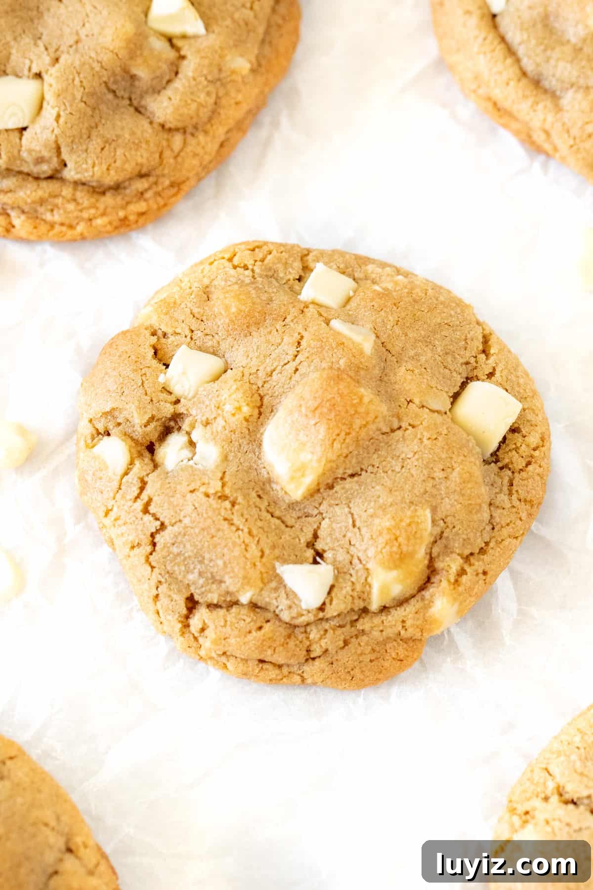 Bakery-Style White Chocolate Macadamia Nut Cookies 3 White chocolate chunk macadamia cookies on baking paper