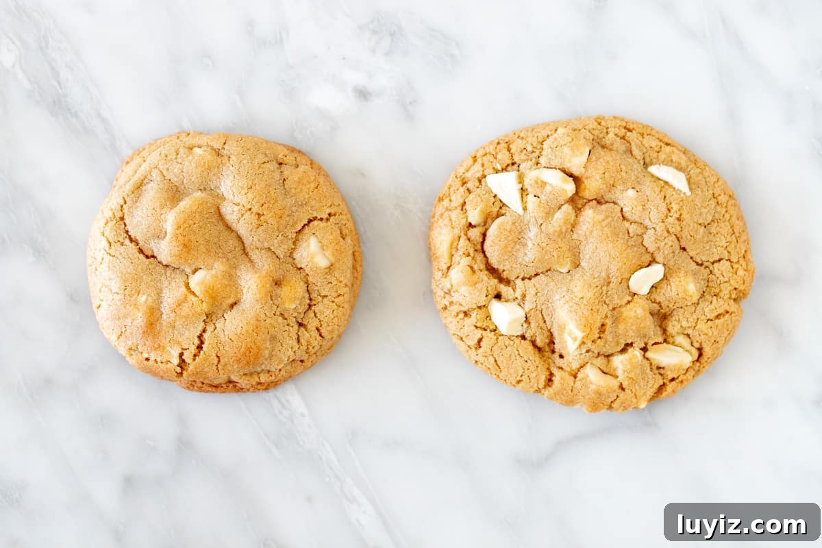 Bakery-Style White Chocolate Macadamia Nut Cookies 4 2 white chocolate macadamia cookies