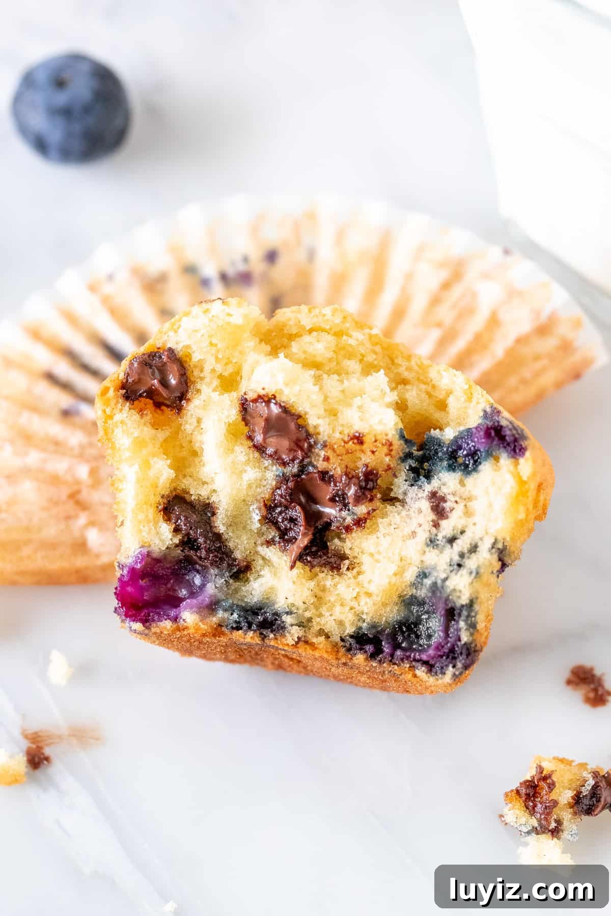 Blueberry Chocolate Chip Muffins Recipe for Moist, Flavorful Bakes 2 Blueberry Chocolate Chip Muffins