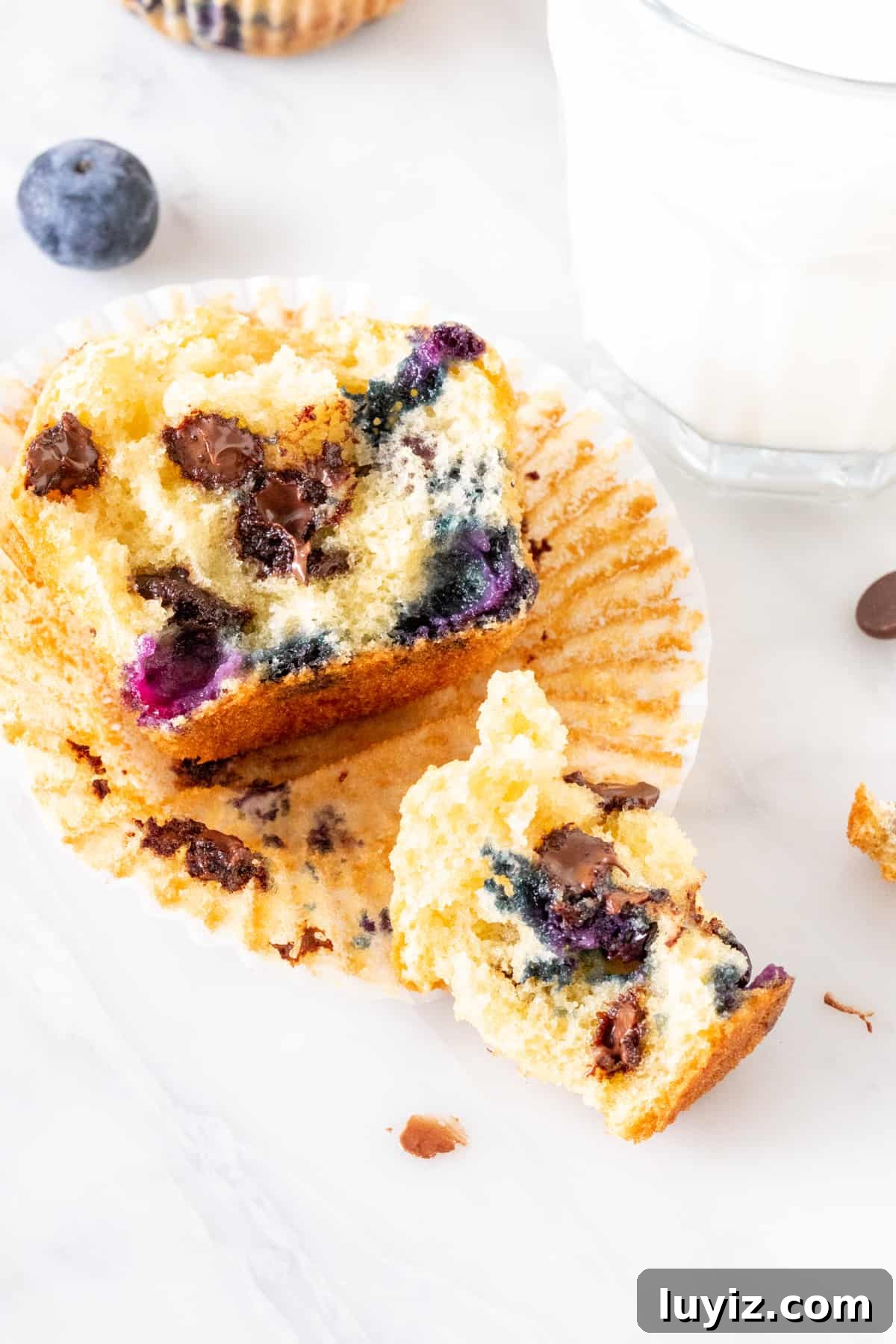 Blueberry Chocolate Chip Muffins Recipe for Moist, Flavorful Bakes 4 Broken muffin filled with blueberries and chocolate chips