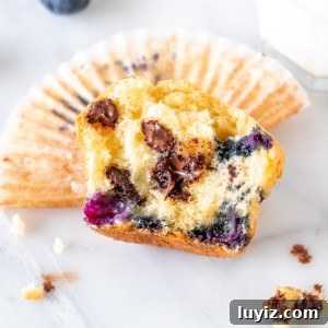 Blueberry Chocolate Chip Muffins Recipe for Moist, Flavorful Bakes 5 Half of a blueberry chocolate chip muffin.